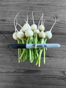 Turnips Hakurei MINI (with stubs) NCO 30ct