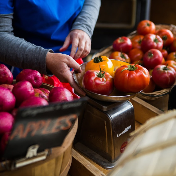 Everdale Farms Produce 