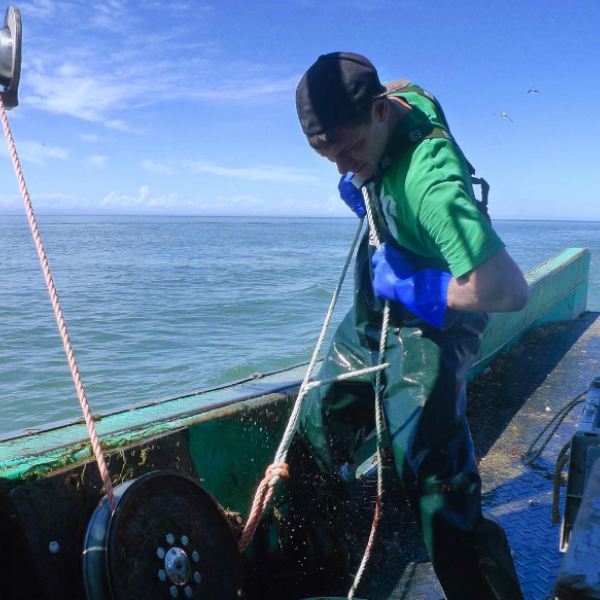 Nautical Seafood Haul