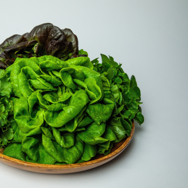 Sensei Farms Lettuce