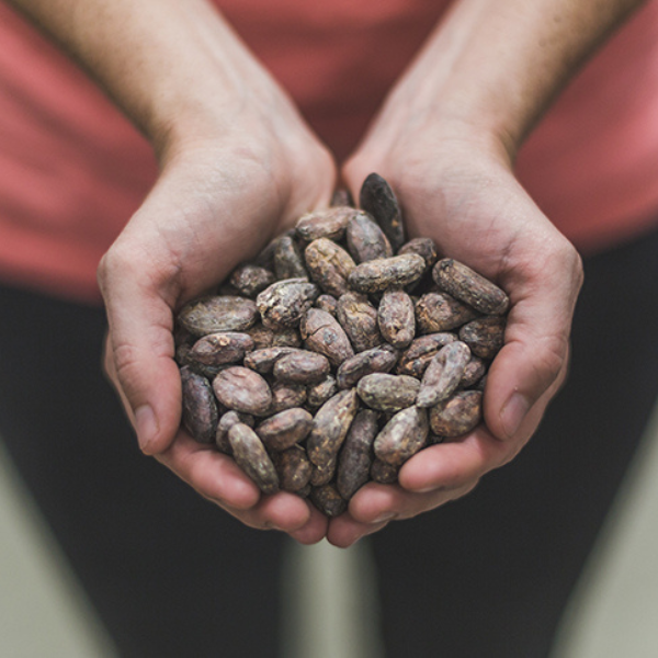 Image of cocoa from Soul Chocolate